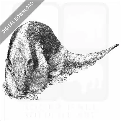 Southern Tamandua