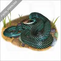 Speckled Racer Snake stock image