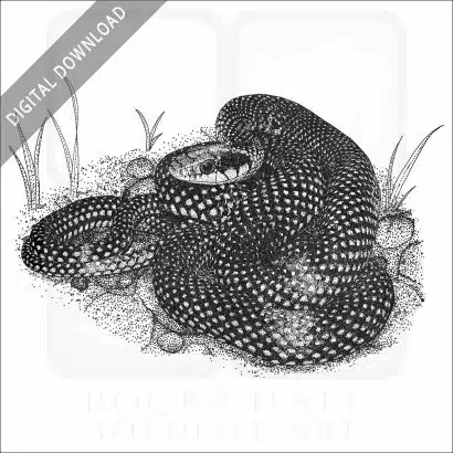 Speckled Racer Snake