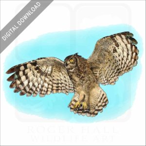 Spotted or African Eagle-Owl stock image