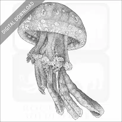 Spotted Jellyfish
