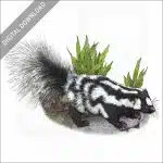 Western Spotted Skunk stock image