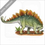 Stegosaurus stock image