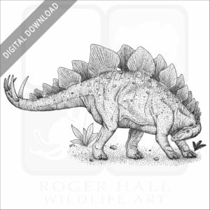 Stegosaurus