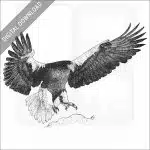 Steller's Sea Eagle