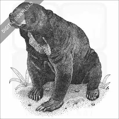Malayan Sun Bear