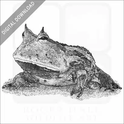 Surinam Horned Frog