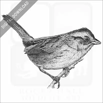 Swamp Sparrow