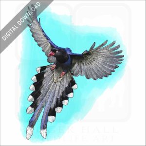 Taiwan Blue Magpie stock image