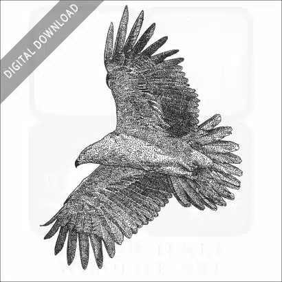 Tawny Eagle