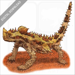 Thorny Devil stock image