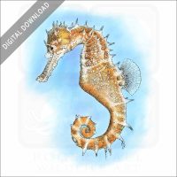 Thorny Seahorse stock image