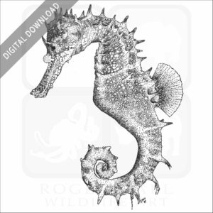 Thorny Seahorse