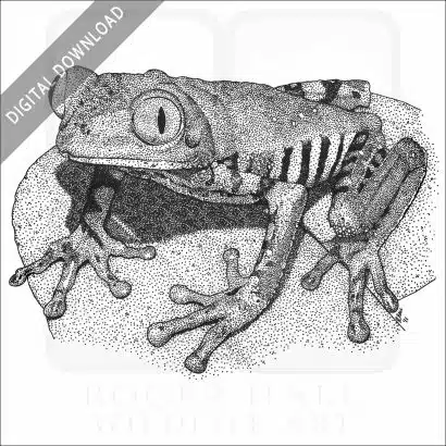 Tiger-Legged Monkey Frog
