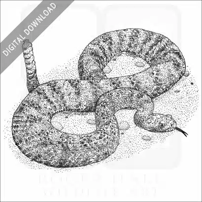 Tiger Rattlesnake