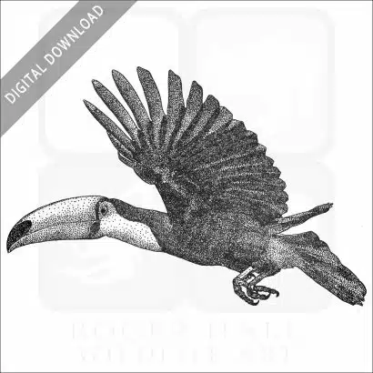 Toco Toucan