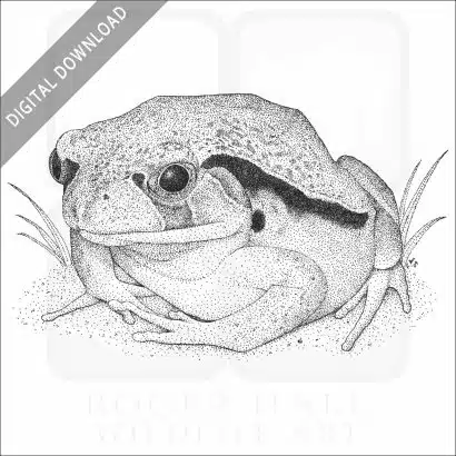 Tomato Frog