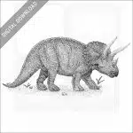 Triceratops