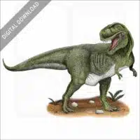 Tyrannosaurus Rex stock image