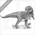 Tyrannosaurus Rex