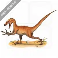 Velociraptor stock image