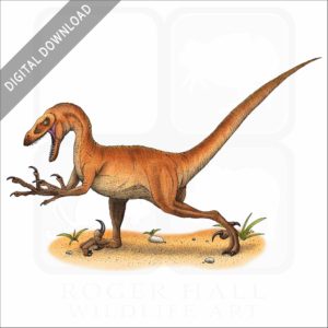 Velociraptor stock image
