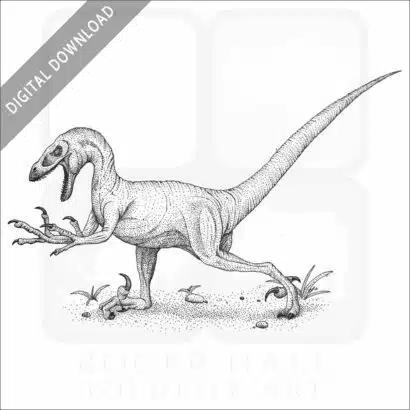 Velociraptor
