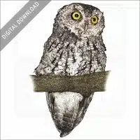 Whiskered Screech Owl stock image