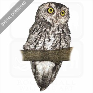 Whiskered Screech Owl stock image