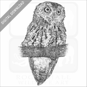 Whiskered Screech Owl