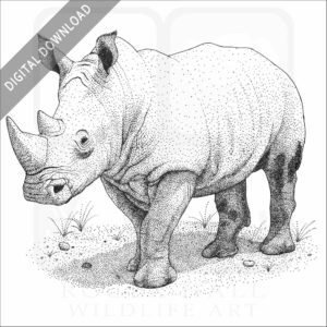 White Rhinoceros