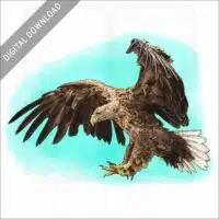 White-Tailed Eagle stock image