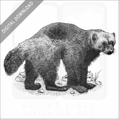 Wolverine