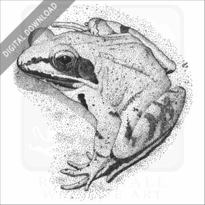 Wood Frog