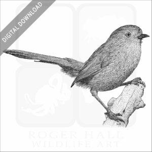 Wrentit