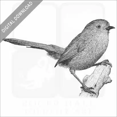 Wrentit