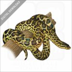 Yellow Anaconda stock image