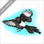 Yellow-Billed Magpie stock image