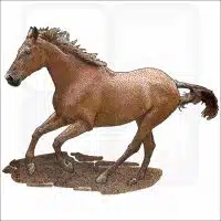 American Quarter Horse stock image