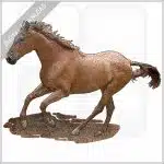 American Quarter Horse stock image