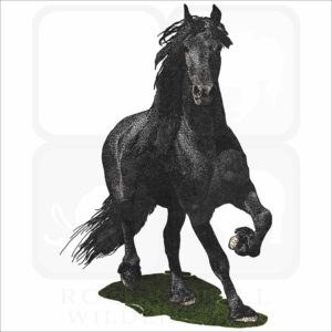 Friesian Horse illustration