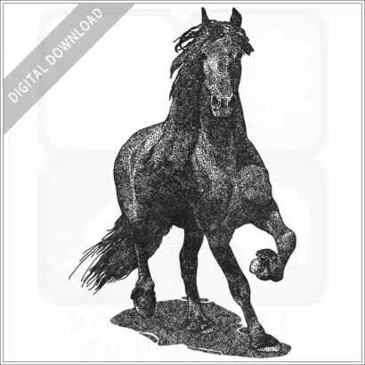 Friesian Horse