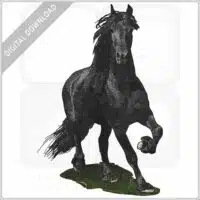 Friesian Horse stock image