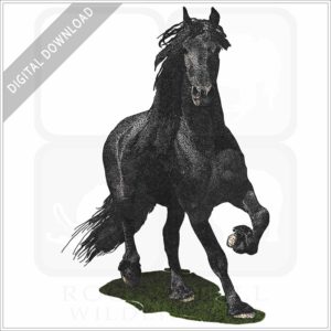 Friesian Horse stock image