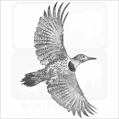 Glided Flicker