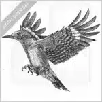 Golden-Fronted Woodpecker