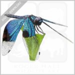 Jewel Flutterer Dragonfly stock image