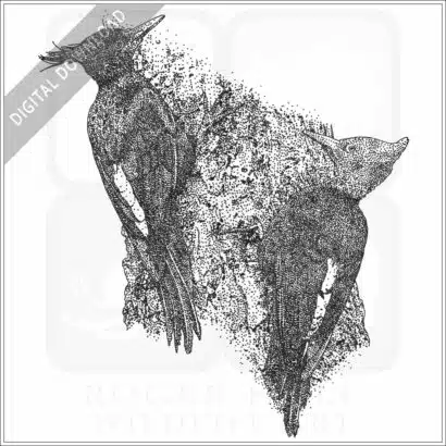 Stock Art Drawing of Magellanic Woodpeckers - Image 2