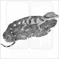 Malayan Forest Gecko