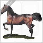 Morgan Horse stock image